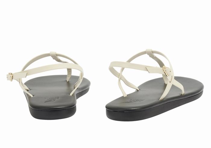 Sandales Bride Arrière Ancient Greek Sandals Lito Flip Flop   | BBG-5239121